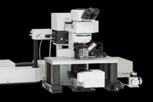 Evident Scientific FV-1000-MPE Multiphoton Microscope | Biomed